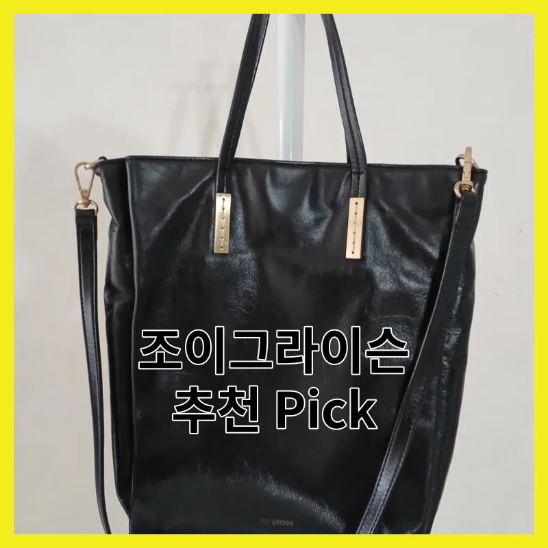 조이그라이슨 어떻게 골라야 후회 안 할까요?