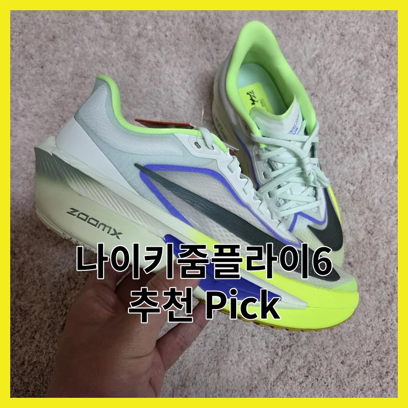 나이키줌플라이6 필수 6, 솔직 한줄 후기 모음