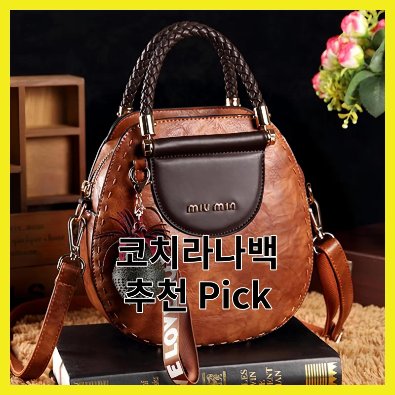실제 사용자가 뽑은 코치라나백 BEST 6, 2026년 추천 순위 모음