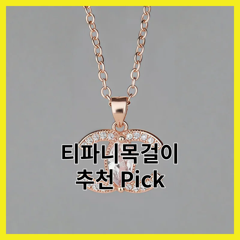 실제 사용자가 뽑은 티파니목걸이 필수 6, 2026년 추천 모음