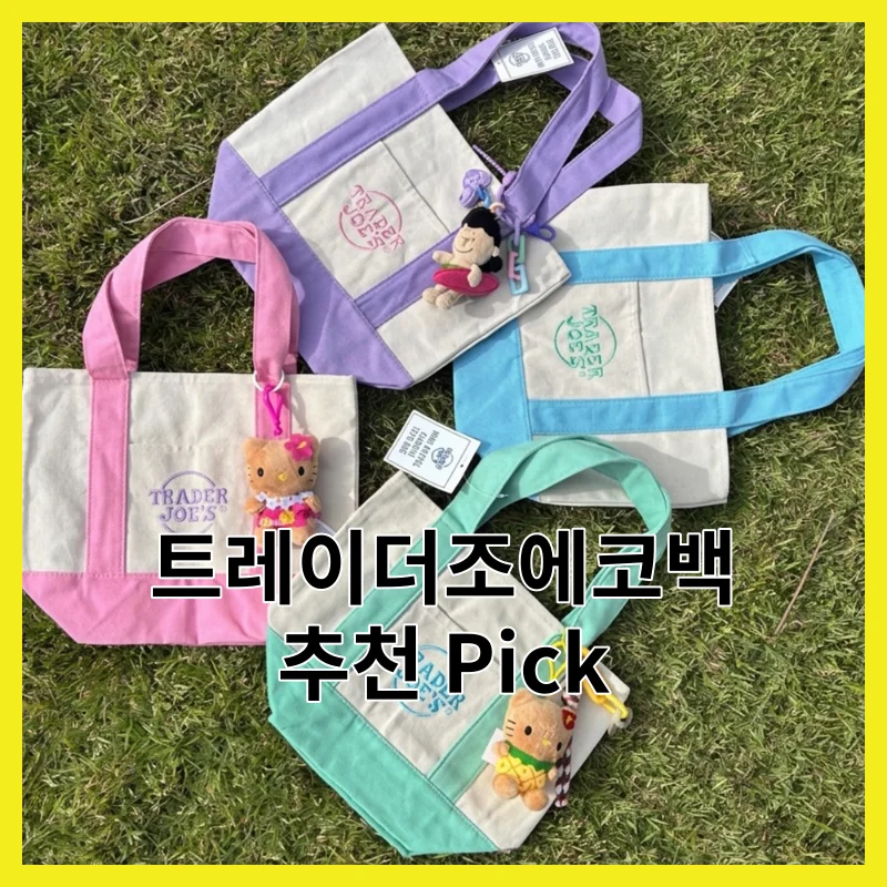 솔직 후기로 뽑은 트레이더조에코백 4선, 2026년 솔직 사용 후기