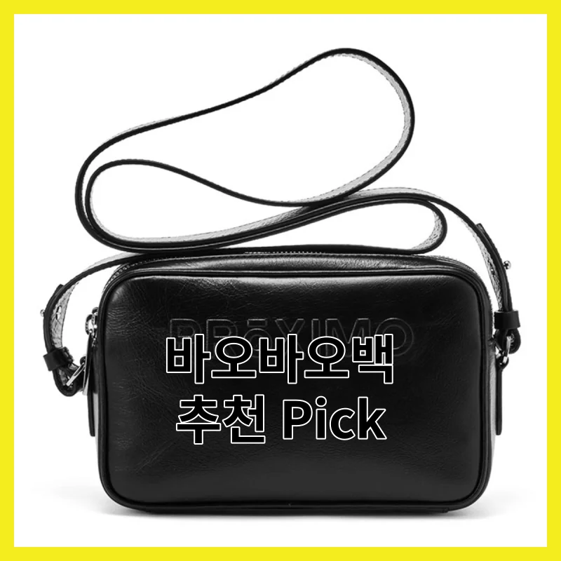 바오바오백 추천, 현실 6선 핵심만 콕 짚어 정리