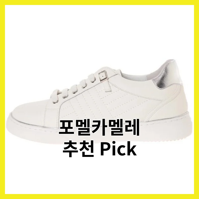 실제 사용자가 뽑은 포멜카멜레 BEST 6, 2026년 Best pick 모음