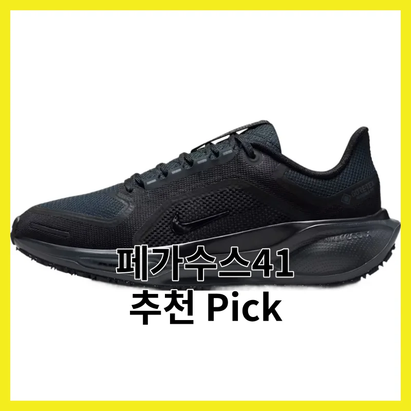 페가수스41 어떻게 골라야 후회 안 할까요?