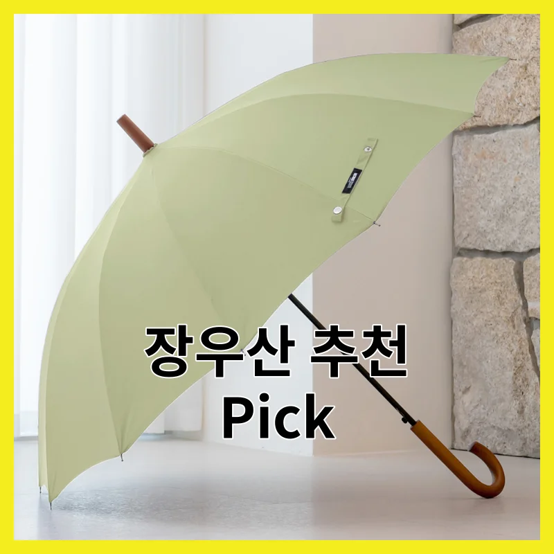 장우산 Best 6 픽, 후기 좋은 것만 골라봤어요