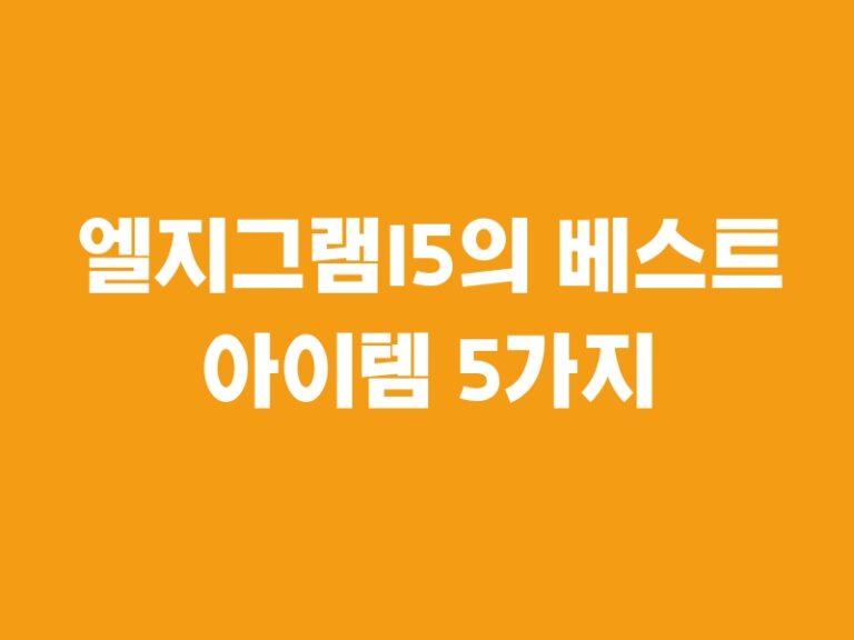 엘지그램I5의 베스트 아이템 5가지 추천!