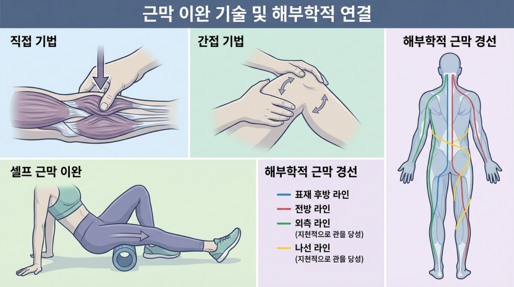 근막 이완 기술